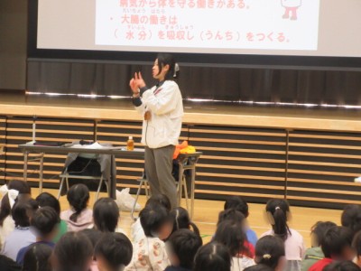 55fdfb4f-ea99-4e53-ab6b-1e00d71263e2