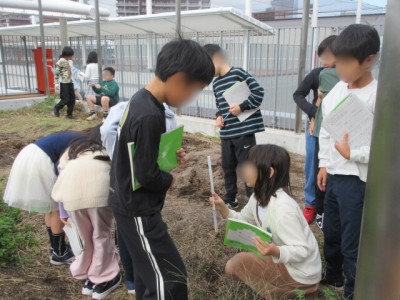 090e0736-ebc1-481d-bd53-15beb268f0c7