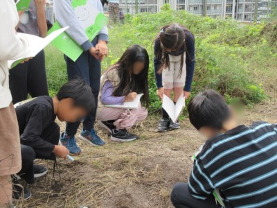 e4c08d29-567e-49f9-afae-16e5ba50e924