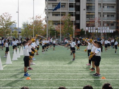 43c8dbe7-09a9-474e-99a2-d9fabc85b258