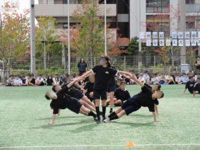 1ff294ad-0203-4227-b73e-295277721456