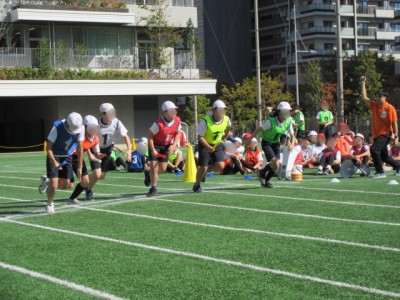 fd5264dd-bb39-405e-9fdf-0d9ed050de74