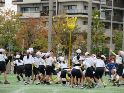 061929a8-dbde-4b1a-b7c8-43dab4189334