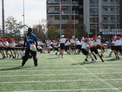 cdbe609c-0f1b-446f-8bf4-d136c34592f5