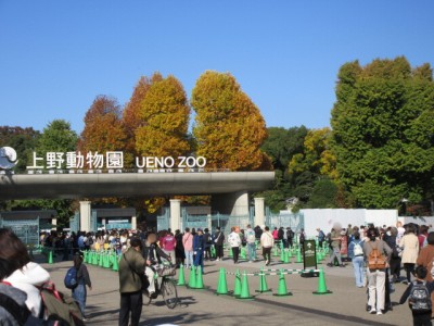 053535d0-c17d-4369-b618-6dbc00585b91