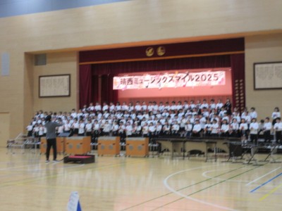 336db799-9069-4082-964c-64b8be928930